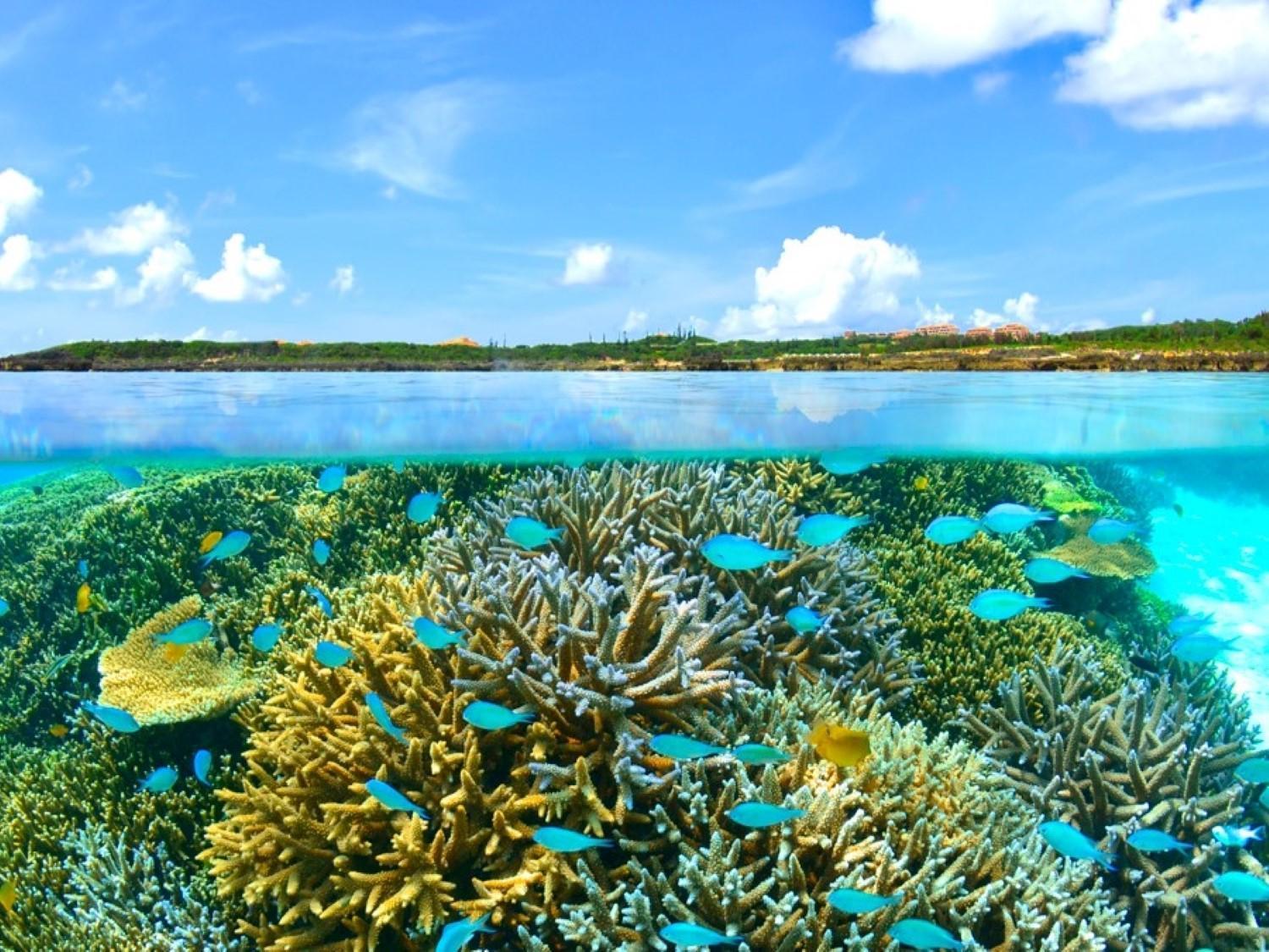 Hotel Shigira Mirage Miyako-jima Luaran gambar