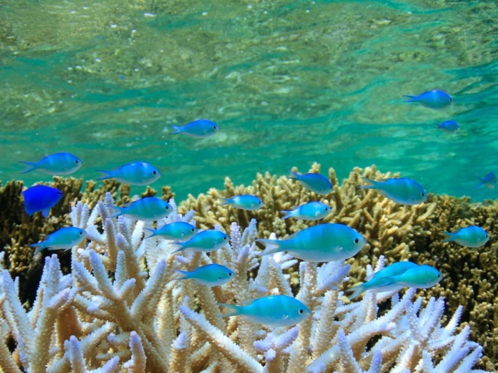 Hotel Shigira Mirage Miyako-jima Luaran gambar